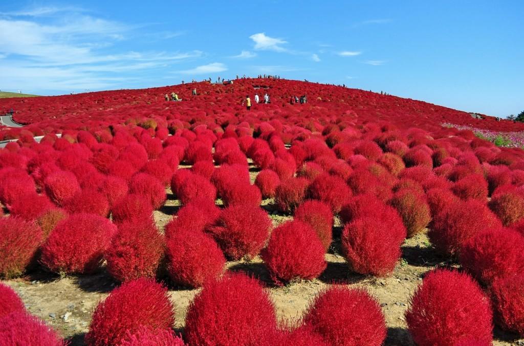 Tsuruya Hotel Isozaki ภายนอก รูปภาพ